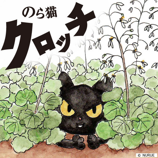 のら猫クロッチ